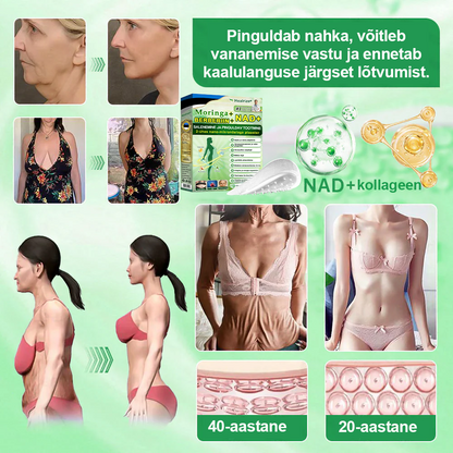 【𝑷𝒊𝒊𝒓𝒂𝒕𝒖𝒅 𝒂𝒋𝒂 𝒑𝒂𝒌𝒌𝒖𝒎𝒊𝒏𝒆 – 𝐤𝐮𝐧𝐢 𝟖𝟎% 𝑨𝑳𝑳𝑨𝑯𝑰𝑵𝑫𝑳𝑼𝑺】👌 𝑯𝒆𝒂𝒍𝒓𝒊𝒛𝒆® 𝑴𝒐𝒓𝒊𝒏𝒈𝒂 · 𝑩𝒆𝒓𝒃𝒆𝒓𝒊𝒏 × 𝑵𝑨𝑫+ 𝟏𝟎-ü𝒉𝒆𝒔 𝒕ä𝒊𝒖𝒔𝒕𝒂𝒕𝒖𝒅 𝒏𝒂𝒏𝒐-𝒎𝒊𝒌𝒓𝒐𝒏õ𝒆𝒍𝒕𝒆𝒈𝒂 𝒑𝒍𝒂𝒂𝒔𝒕𝒆𝒓 📦 𝟕 𝒑𝒍𝒂𝒂𝒔𝒕𝒓𝒊𝒕 𝒌𝒂𝒓𝒃𝒊𝒔 · 𝐔𝐦𝐛𝐞𝐬 𝒖̈𝒉𝒆 𝒏ä𝒅𝒂𝒍𝒂 𝒗𝒂𝒓𝒖 · 𝐍ä𝐡𝐭𝐚𝐯𝐚𝐝 𝐭𝐮𝐥𝐞𝐦𝐮𝐬𝐞𝐝 𝐣𝐮𝐛𝐚 𝟕 𝐩ä𝐞𝐯𝐚𝐠𝐚