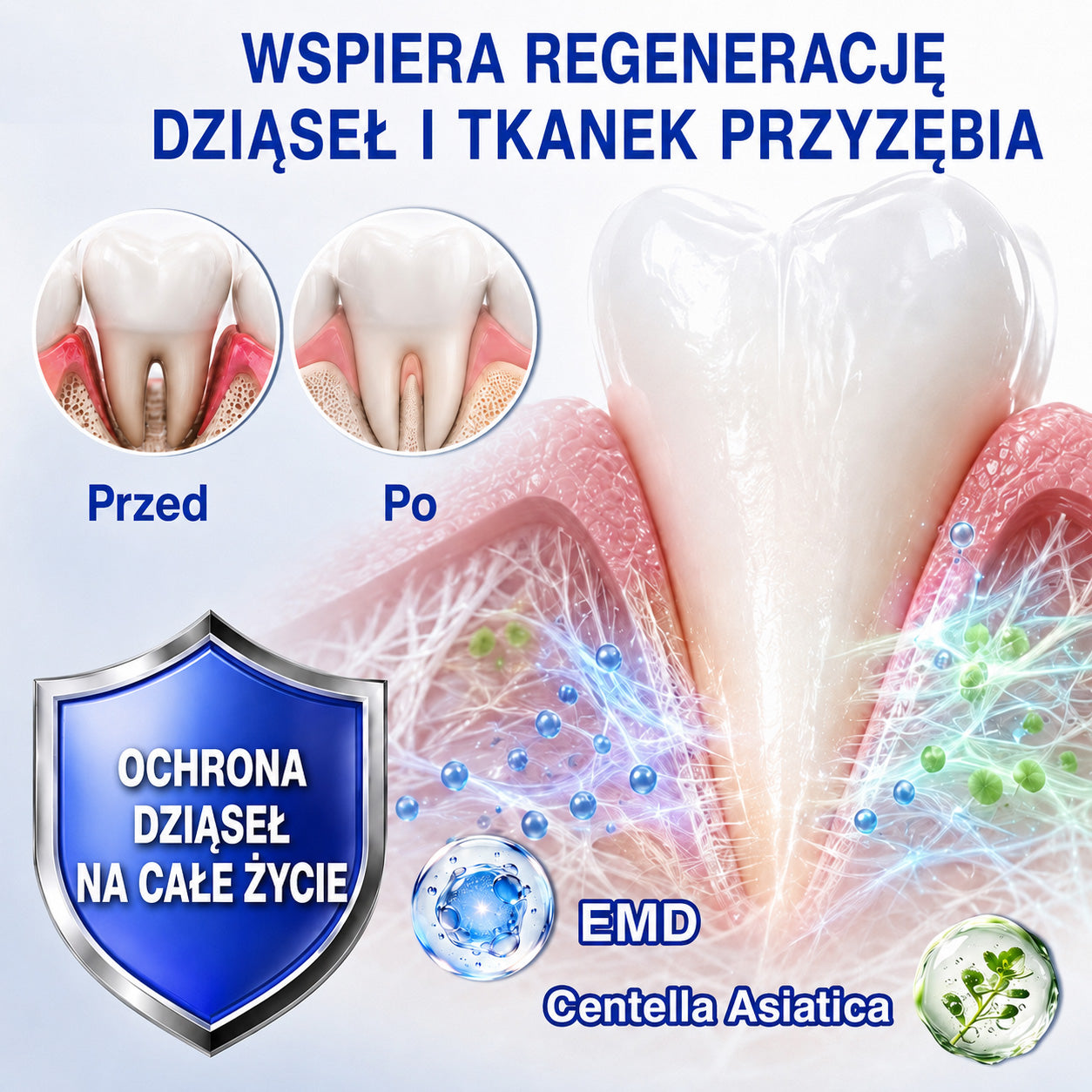 🇩🇪👨‍⚕️✅🦷Evolvion® GumRevive Parodontales Reparaturgel